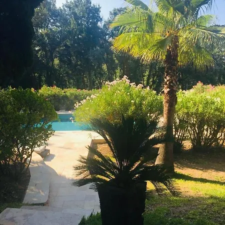 Provencale Familiale Avec Piscine * Grimaud